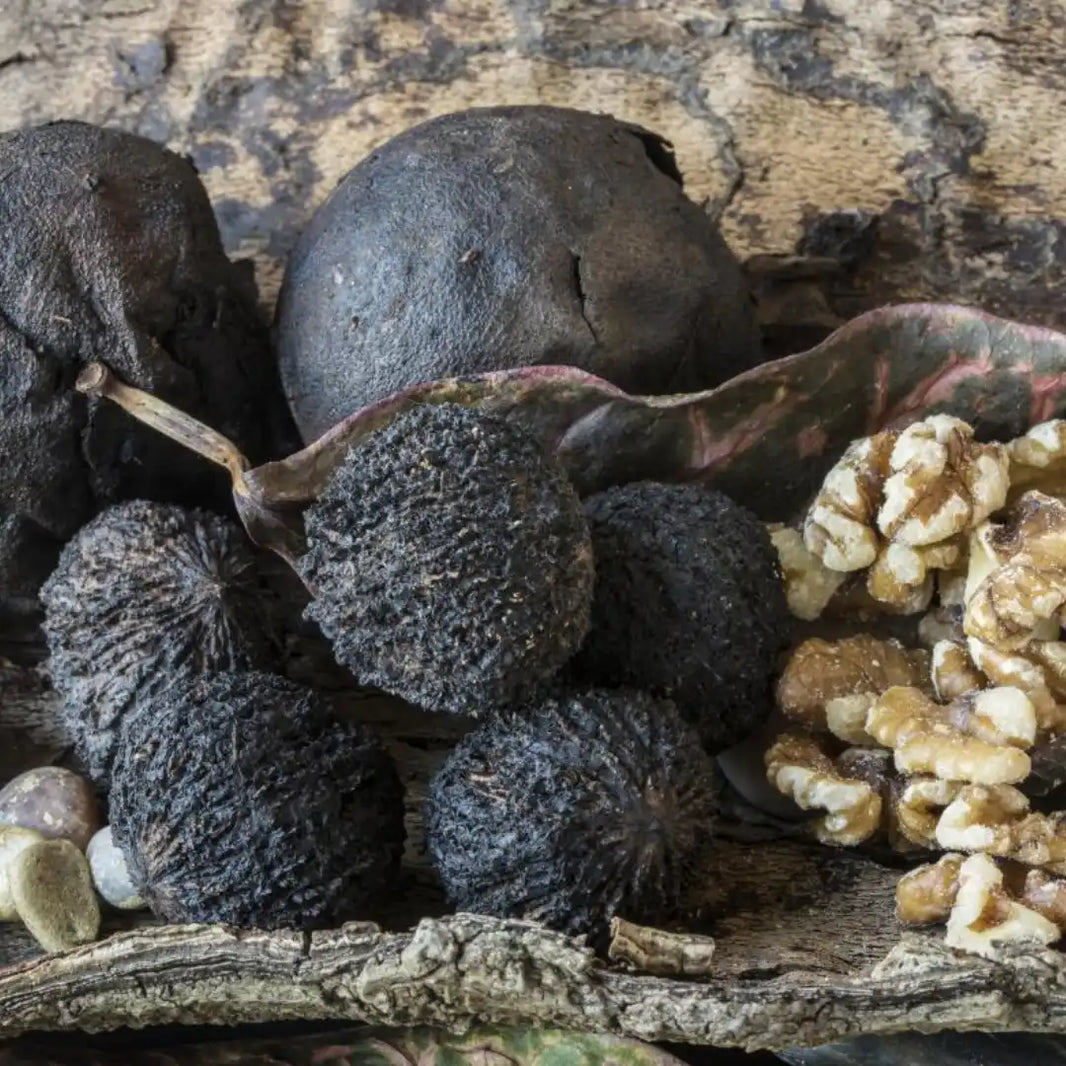 Black truffles alongside walnuts on weathered wood.