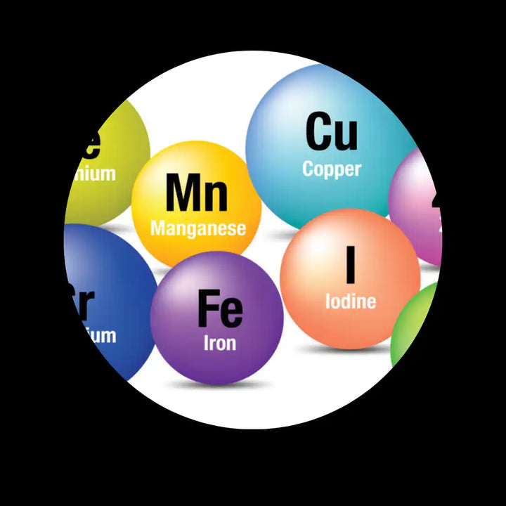 Colorful circular diagram showing chemical elements and their symbols.